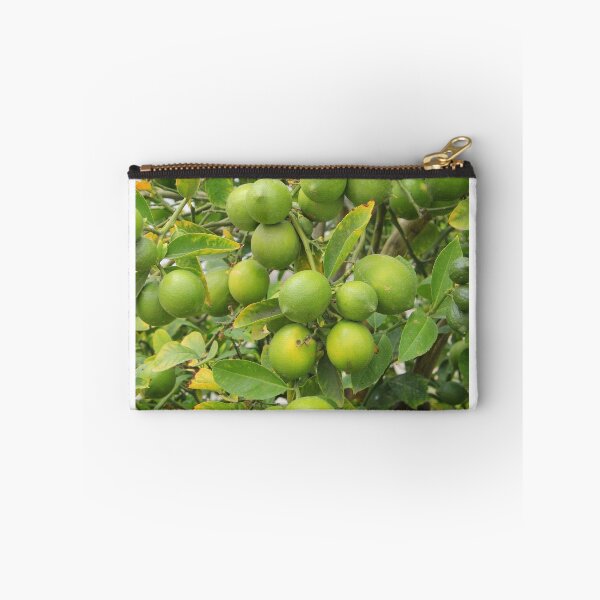 Item preview, Lemons Growing on a Tree designed and sold by rhamm.