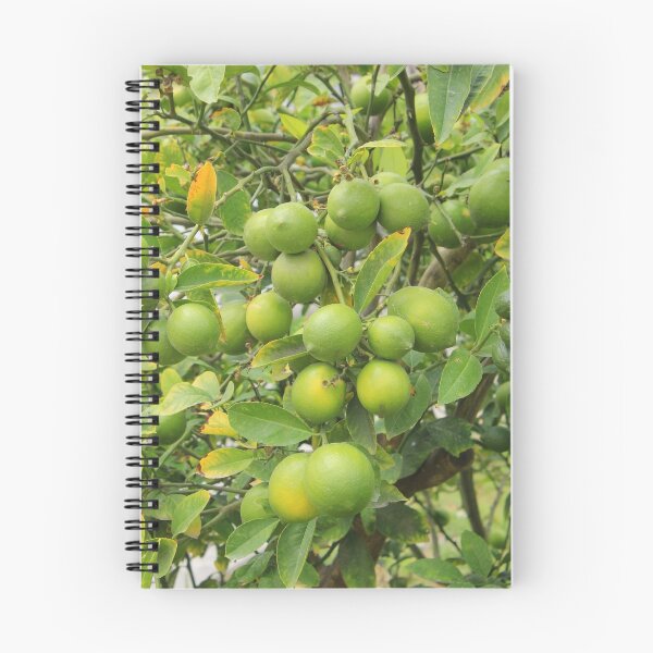 Item preview, Lemons Growing on a Tree designed and sold by rhamm.