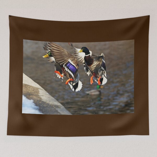 Item preview, Incoming Drake Mallards designed and sold by Deb Oppermann.