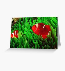 Premnas in Green Greeting Card