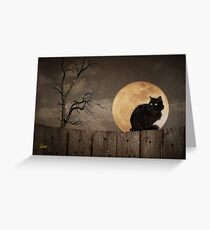 Cat On A Fence Greeting Card