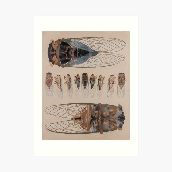 Cicadas Art Print