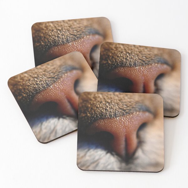 Item preview, sniff designed and sold by Pepitaphotos.