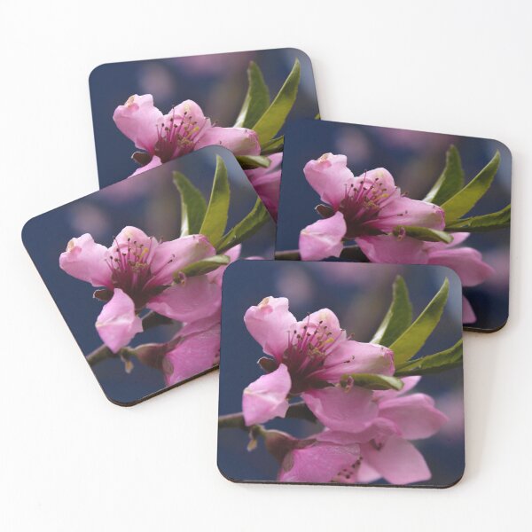 Item preview, Fuchsia Florence designed and sold by kasecaptures.