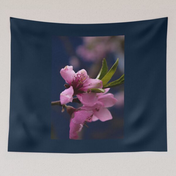 Item preview, Fuchsia Florence designed and sold by kasecaptures.