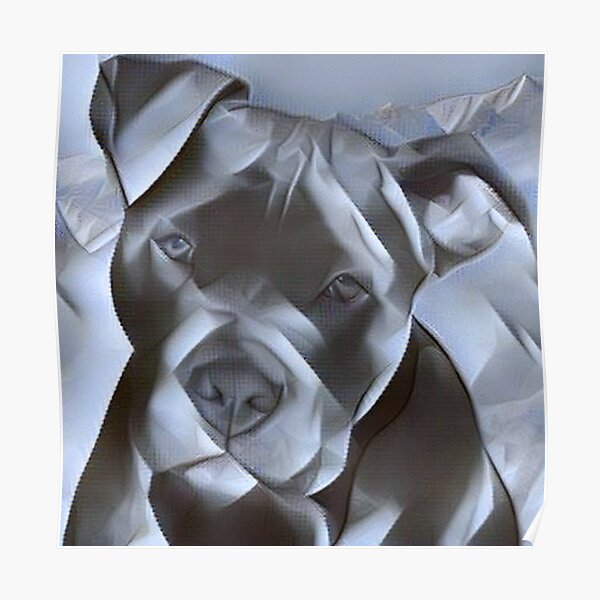 beautiful painting of a pit bull terrier for all dog lovers of this gentle breed Poster