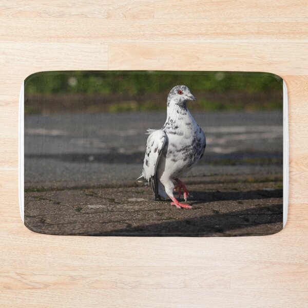 Item preview, Posing pigeon designed and sold by GreyFeatherPhot.