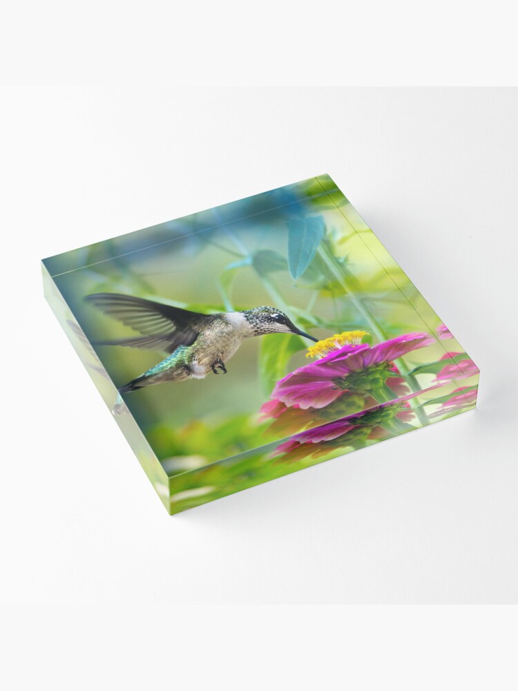 Alternate view of Sweet Hummingbird Square Acrylic Block