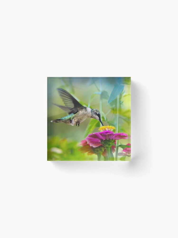 Alternate view of Sweet Hummingbird Square Acrylic Block
