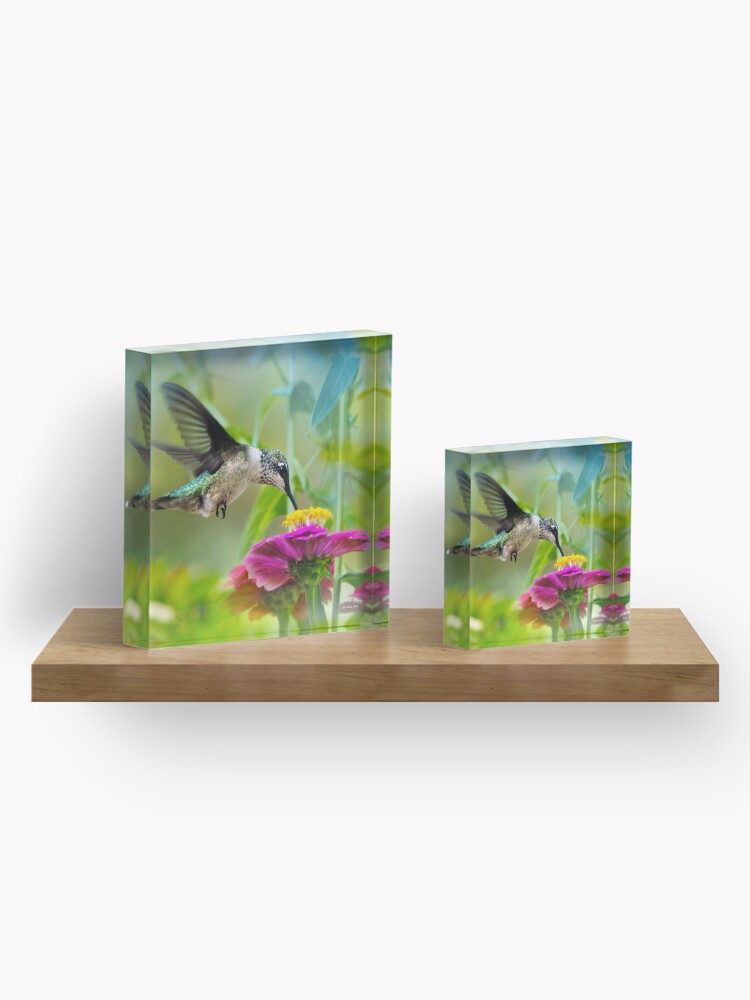 Alternate view of Sweet Hummingbird Square Acrylic Block