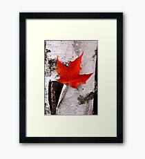 Fall! Framed Print