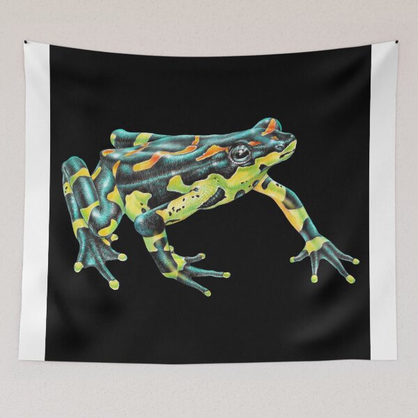 Item preview, Harlequin Toad designed and sold by TimJeffsArt.