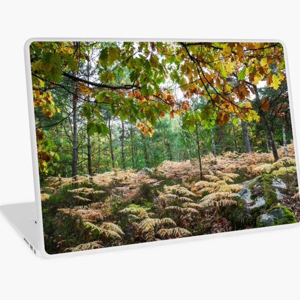 Fontainebleau Forrest, Autumn 2015 Laptop Skin