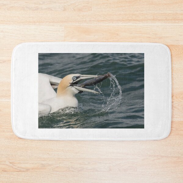 Item preview, Gannet with Fish designed and sold by Glenn Welch.