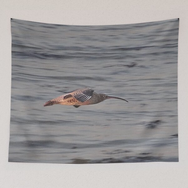 Item preview, CURLLIW - CURLEW designed and sold by NICK COBURN PHILLIPS.