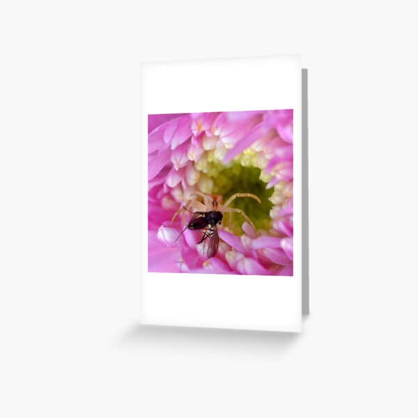 My cave Greeting Card
