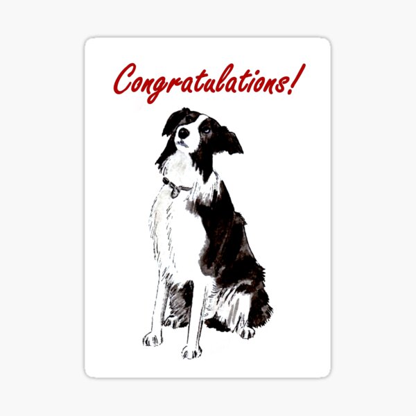 Devotion - Border Collie - Congratulations Card Sticker
