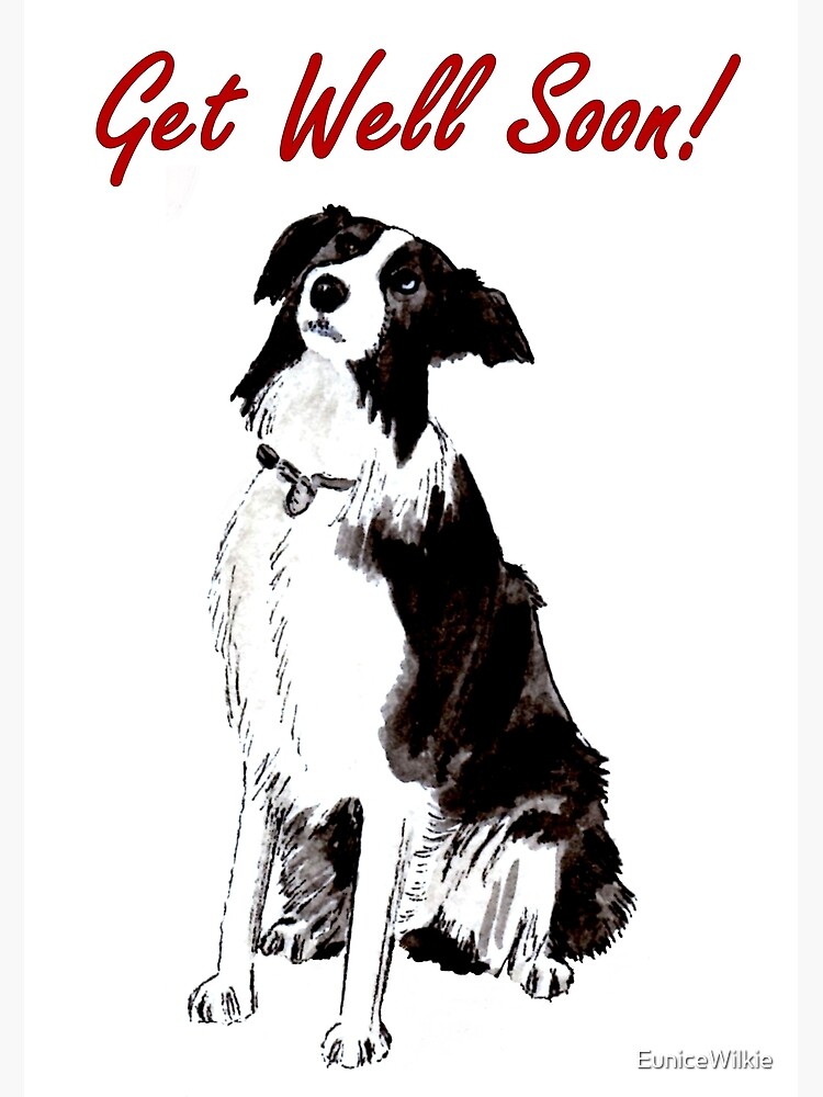 Thumbnail 2 of 2, Greeting Card, Devotion - Border Collie - Get Well Soon Card designed and sold by EuniceWilkie.