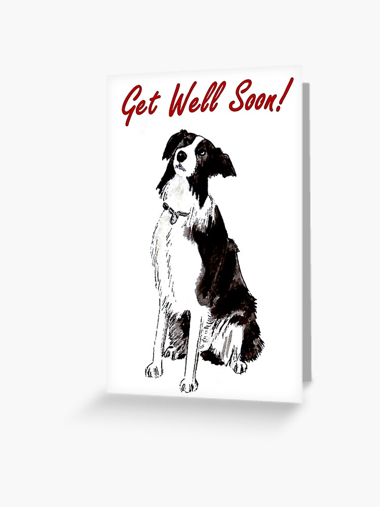 Thumbnail 1 of 2, Greeting Card, Devotion - Border Collie - Get Well Soon Card designed and sold by EuniceWilkie.