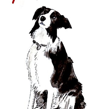 Artwork thumbnail, Devotion - Border Collie - Get Well Soon Card by EuniceWilkie