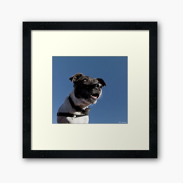 No more treats? I can’t believe it!! Framed Art Print