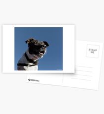 No more treats? I can’t believe it!! Postcards