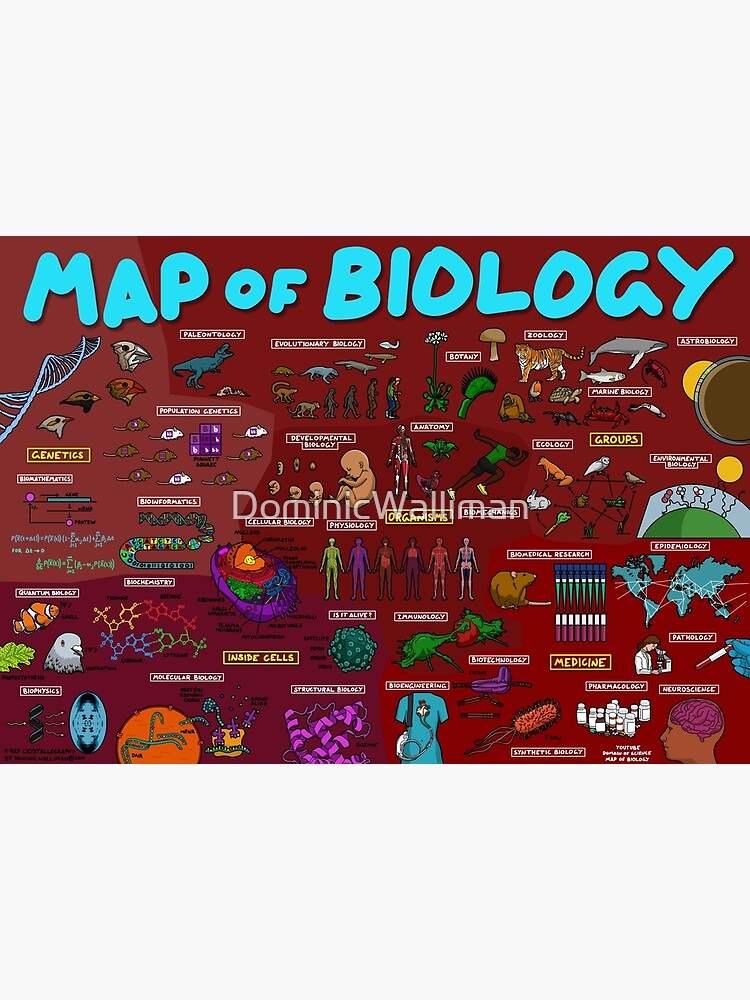 Map of Biology by DominicWalliman