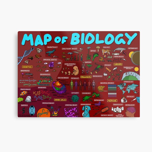 Map of Biology Metal Print
