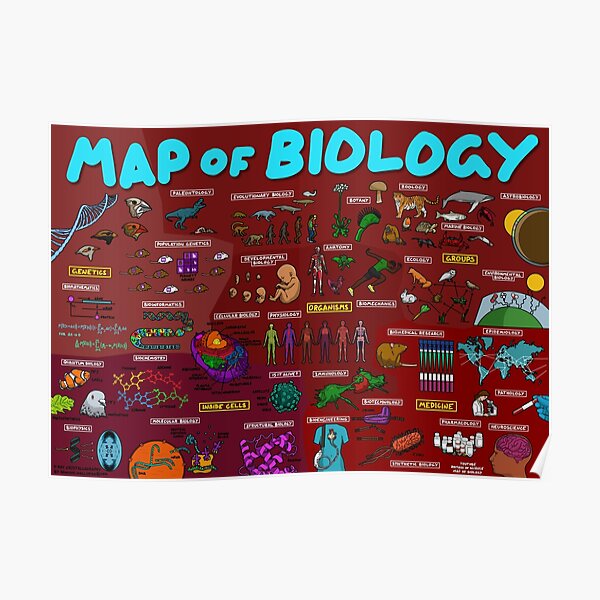 Discover Map of Biology Premium Matte Vertical Poster