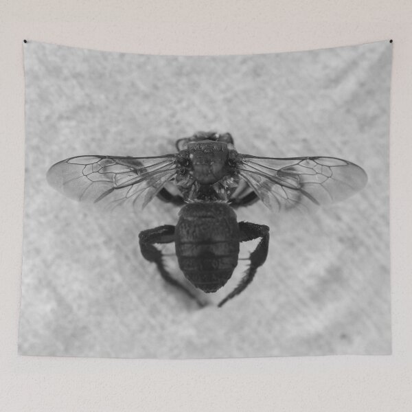 Item preview, Bee in Black and White designed and sold by StampCity.