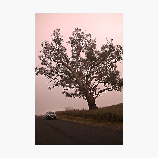 Item preview, winter mist on the road designed and sold by andre joceline.