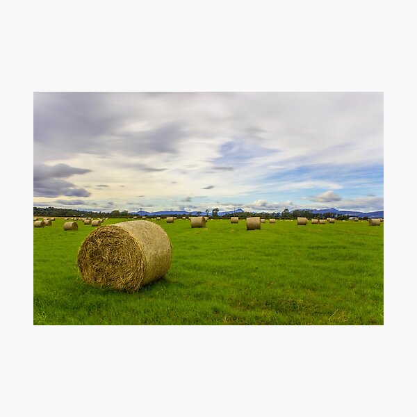 Item preview, Farmland designed and sold by Tek-Photography.