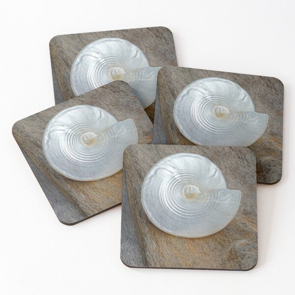 Item preview, Pearly Cone Seashell 3 designed and sold by Kathilee.