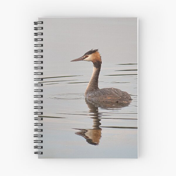 Item preview, Great Crested Grebe on the Water designed and sold by Dan Newton.