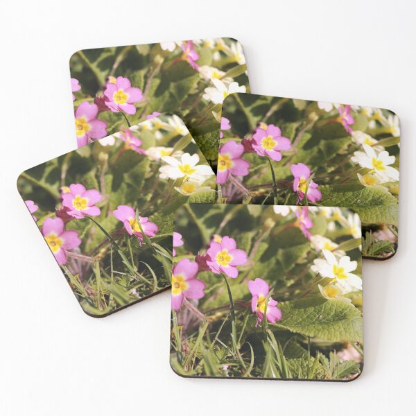 Item preview, Pink and Yellow Primroses designed and sold by pinkal.
