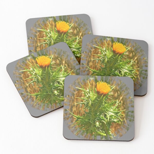 Item preview, Thorny wild yellow Carthamus flower by Iritof designed and sold by iritof.