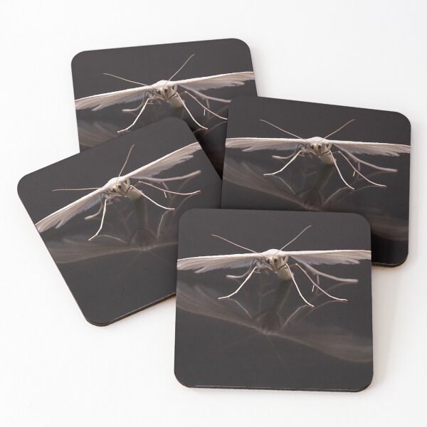 Item preview, White Plume Moth Portrait designed and sold by Dan Newton.