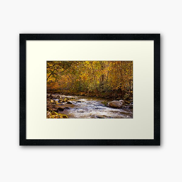 Fall Splendor in the Smokies Framed Art Print