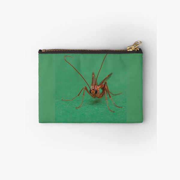 Item preview, Ophion obscuratus designed and sold by Dan Newton.