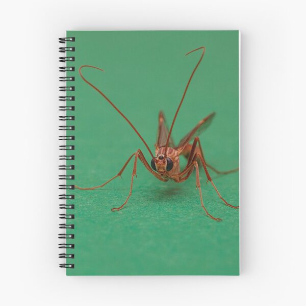Item preview, Ophion obscuratus designed and sold by Dan Newton.