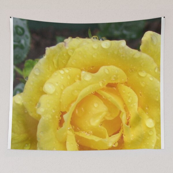 Item preview, Raindrops on Rose Petals designed and sold by BlueMoonRose.
