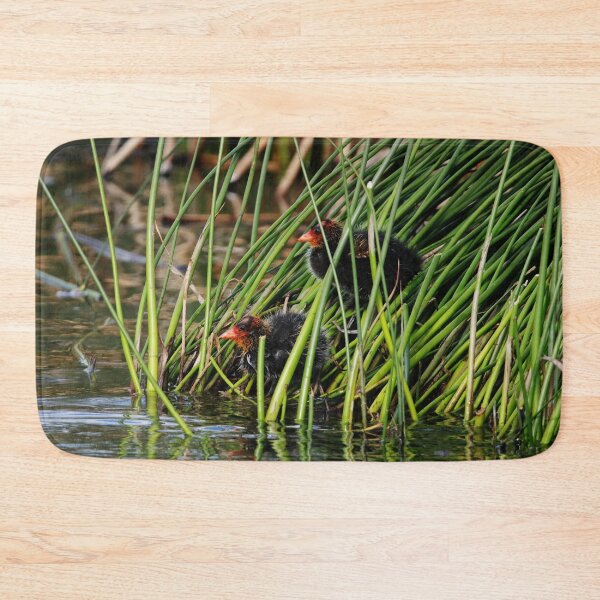 Item preview, Coot Chicks designed and sold by Alyce Taylor.