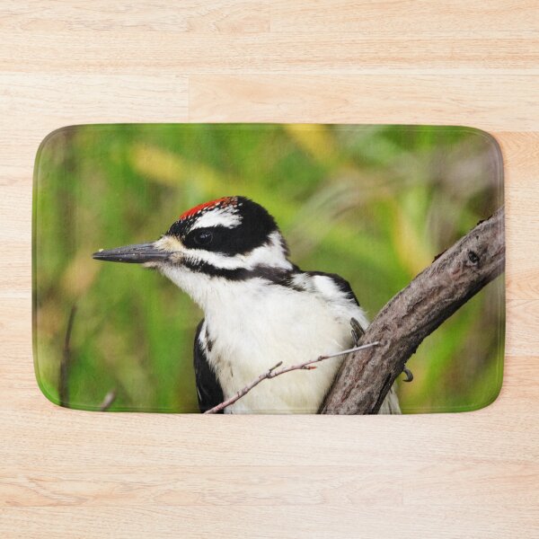 Item preview, Juvenile Hairy Woodpecker designed and sold by Alyce Taylor.