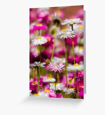 Wild Flowers Greeting Card
