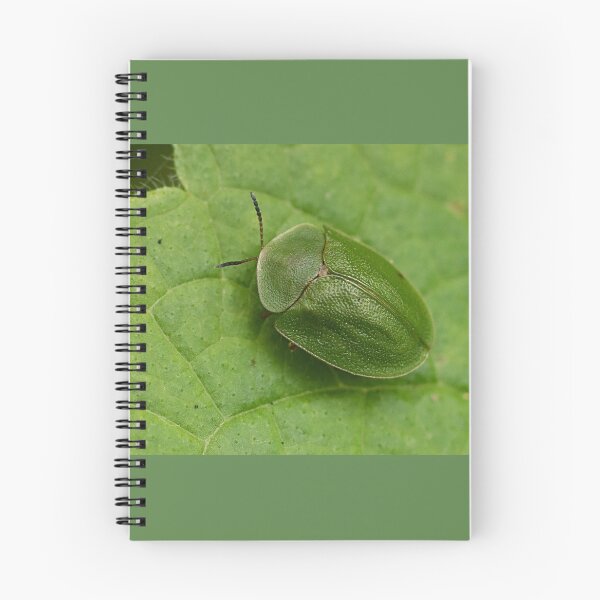 Item preview, Green Tortoise Beetle designed and sold by Dan Newton.