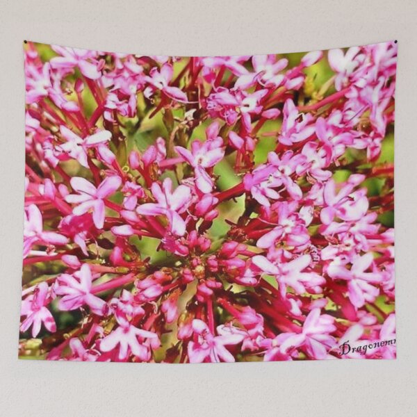 Item preview, ALLIATA 1 pink valerian flower garden nature plant star macro photo designed and sold by dragonemma.