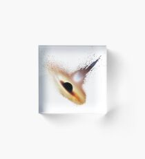 Splash Black Hole Acrylic Block