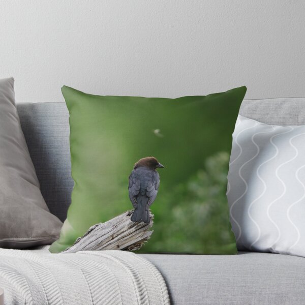 Item preview, Brown Headed Cowbird designed and sold by Alyce Taylor.