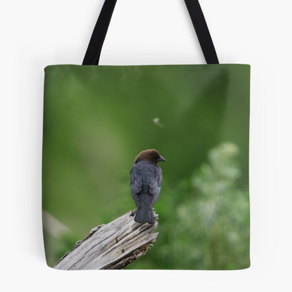 Item preview, Brown Headed Cowbird designed and sold by Alyce Taylor.