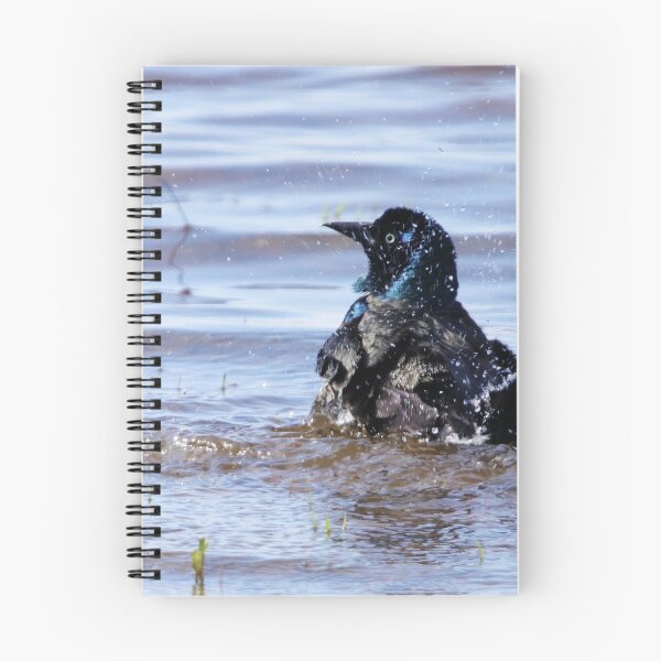 Item preview, Splashing Grackle designed and sold by Alyce Taylor.
